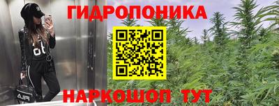 прущая мука Будённовск