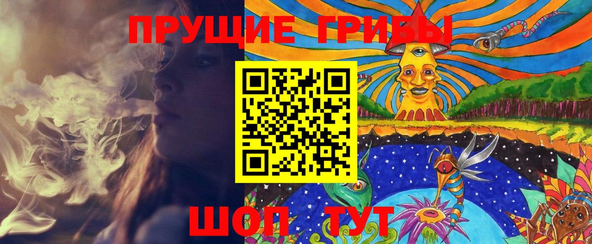 Псилоцибиновые грибы GOLDEN TEACHER  Вход с VPN  Трёхгорный  Псилоцибиновые грибы прущие грибы 